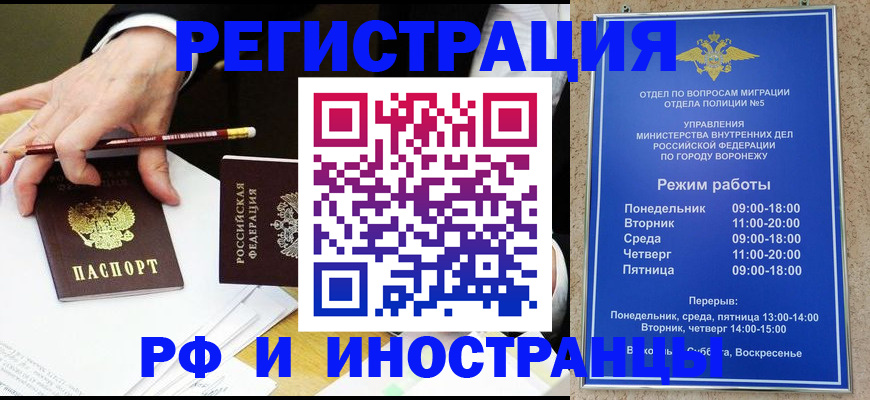пропишу в квартире в Волоколамске